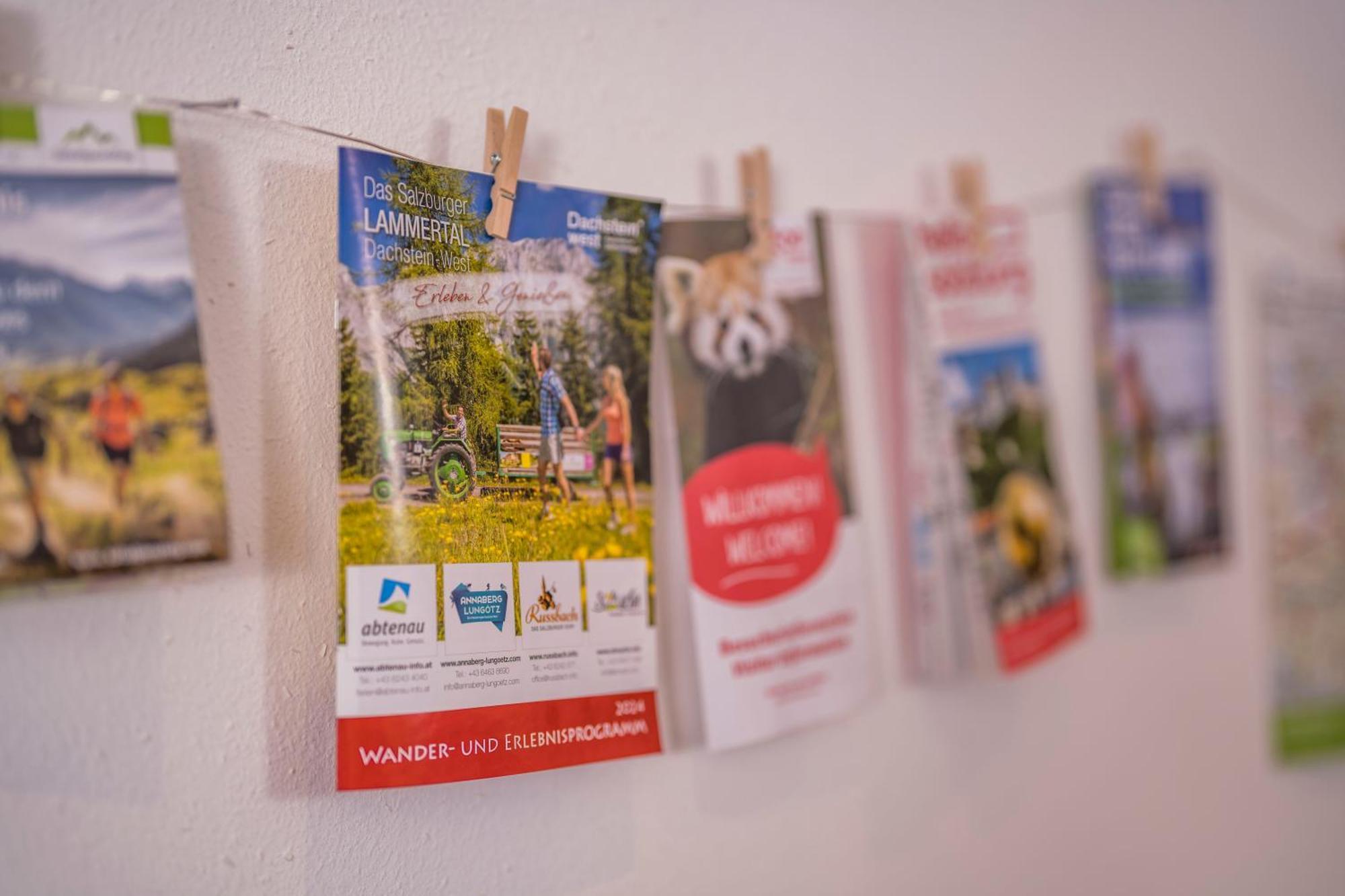 Ferienwohnung Andexlinger Abtenau Bagian luar foto